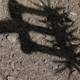 Illustration for article titled Shooting Challenge: Shadows (Part 2)
